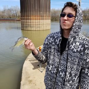 Meet your Posher, Frankie